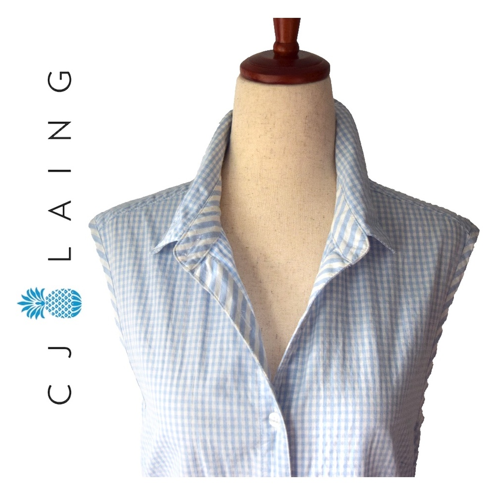 CJ LAING Palm Beach Collection Shirt Dress – Light Blue Check with Stripe Detail